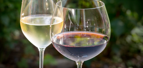 plett_wine_festival